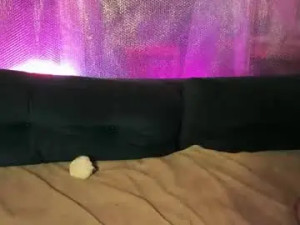 View HD clip called Ladymanbdsm Cam porn model from chaturbate