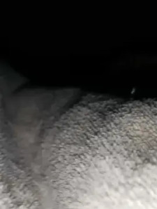 Stream the uncensored clip titled WHUAINO, 22 years old, male