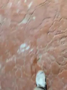 View this HD scene titled nickcompp, 31 years old, male