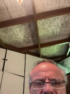 Play this HD video named Canibal55, 18 years old, male