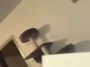 Stream this hardcore video named righthondj, male