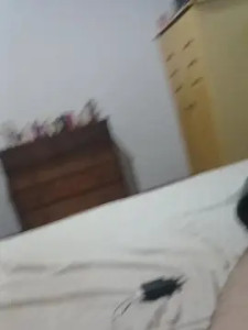 Play the HD scene of hxhlouco, 43 years old, male