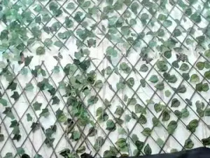 Watch complete video called Brianajhonsson Cam porn model from chaturbate