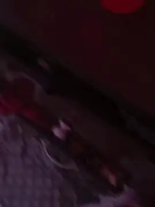 Enjoy watching this full video named Pitbullcomasga, 33 years old, male