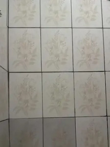 Enjoy watching the HD clip named Pelezinho90, 27 years old, male