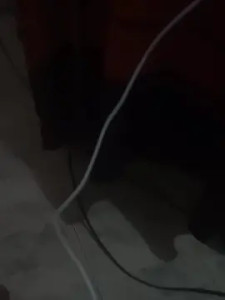 View the hardcore scene named Abin777, 23 years old, male