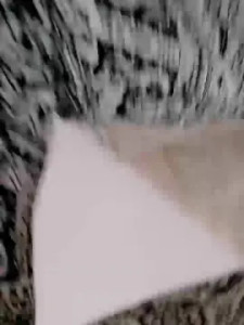 Watch uncensored movie titled Katymorena Cam porn model from cam4