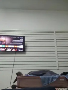 View this HD movie titled Lua_ninfa23cm, 24 years old, trans