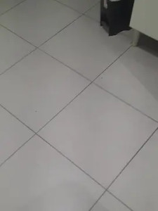 Watch this hardcore movie of Gr7_br, 27 years old, male