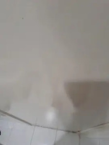 Stream this hardcore scene titled baianopicudo, 42 years old, male