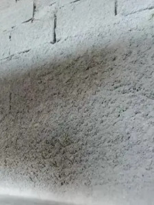 Play the hardcore video called Geninho37, 40 years old, male