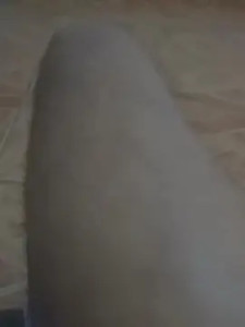 Enjoy watching this complete video of Jhhonim, 33 years old, male