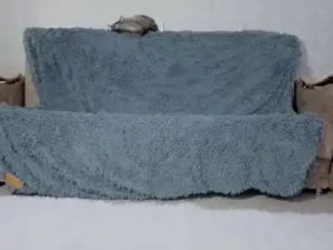 Play uncut movie called Jessy_demon Cam porn model from chaturbate