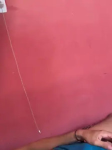 Watch the hardcore movie called maurojunior, 34 years old, male