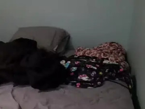 Play the uncut clip named Znda2002 Cam porn model from chaturbate