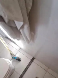 Play uncut movie named paulo_cam24, 36 years old, male