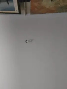 Enjoy watching this hardcore clip of sindudas, 53 years old, male