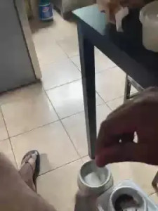 Enjoy watching the uncut video called Deliciosbig, 35 years old, male