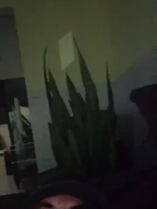 Watch the complete scene of dilsinho18, 41 years old, male