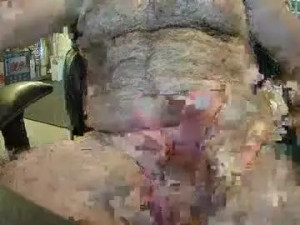 Stream the uncensored video named Fatdick4u2c81 Cam porn model from chaturbate