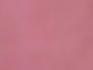 View full video named Sweetcharm__ Cam porn model from chaturbate