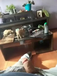 Stream the uncut video called Volvo340, 48 years old, trans