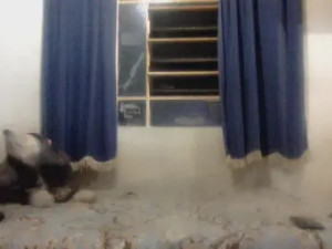 Play this complete scene titled fabigulosa, 44 years old, trans