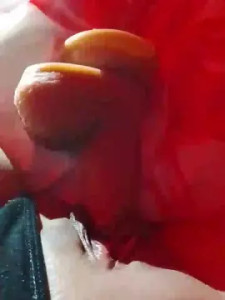 Watch this uncensored scene titled BABYXENA21 Cam porn model from cam4