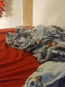 Stream this uncut clip named Casal_emchamas Cam porn model from cam4