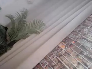 Watch this complete video titled cheskalim, 18 years old, trans